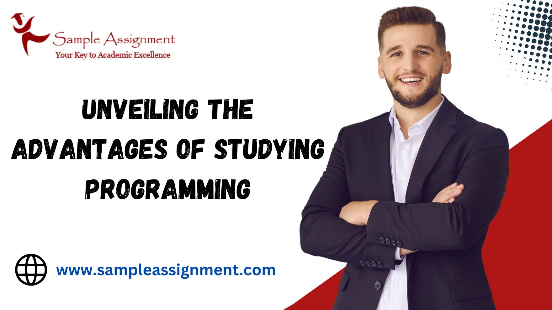 programming assignment help
